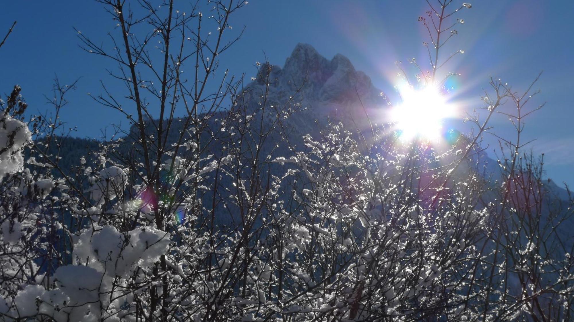 Villa Gemmy Pozza di Fassa Luaran gambar